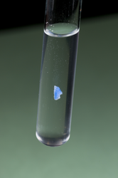 Plastic sample floating in test tube liquid.
