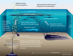 Illustration of a subsea oil seep.