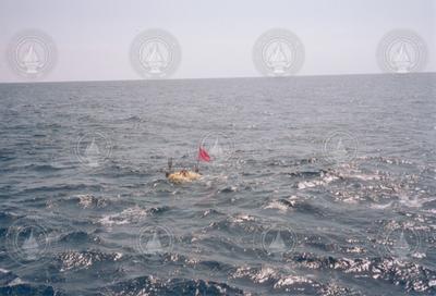 Buoy in water, as seen from R/V Knorr