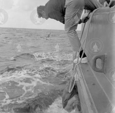 Capt Hiller (top) and Bill Richardson over side of Chain