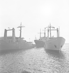 Oceanus, Knorr and Wecoma at WHOI dock.