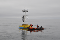 Peter Liarikos and Amy Biddle move in to tie line to surface buoy for recovery.
