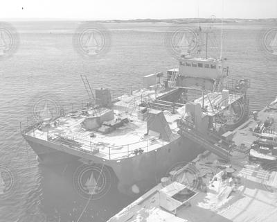 Lulu at snow covered WHOI dock, seen from above