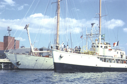 Bow view of the Calypso and Atlantis at WHOI dock
