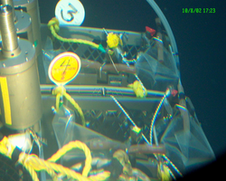 Sample label numbers in Alvin sample basket during Alvin dive 3820.
