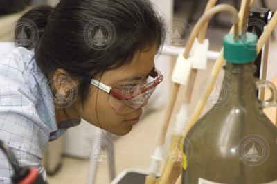 SSF Ratsirin (Prea) Supcharoen working in Matt Charette's laboratory.