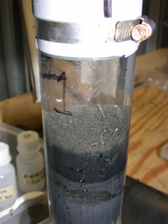 Sediment in a recovered core.
