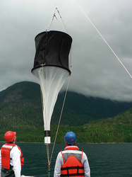 Scientists deploy a sediment trap to collect "marine snow" particles.