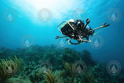 WARP-AUV (Curious robot) operating underwater above a coral reef.
