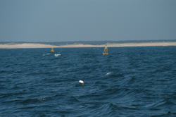 Surface buoys marking the offshore node components of MVCO.