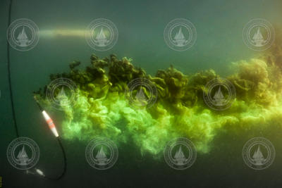 Fluorescein dye released underwater during REMUS testing in Buzzards Bay.