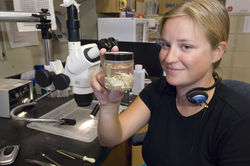 SSF Skylar Bayer working in Lauren Mullineaux's lab.