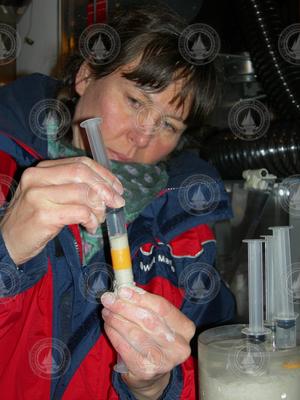 Joan Bernhard retrieving samples from a core in the cold lab.