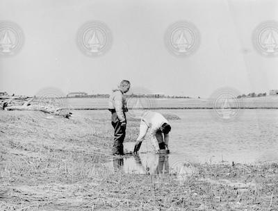 Howard Sanders and George Hampson at the site of the West Falmouth oil spill