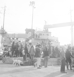 People at WHOI dock during R/V Chain arrival after MODE Experiment.