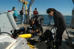 Divers preparing their gear for a dive aboard Tioga.
