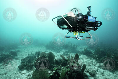 WARP-AUV (Curious robot) operating underwater above a coral reef.