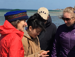 Lauren Mullineaux (left) and students examining sea life at the shoreline.
