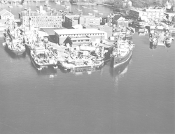 Aerial view of Chain at dock