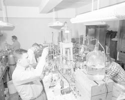 People working in lab.