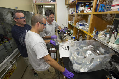 Reddy, Sylva, and Seewald monitoring oil and gas separation during extraction.