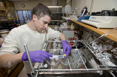 Joint Program student Tom DeCarlo working in the lab.