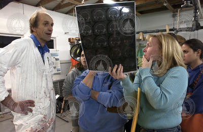 Michael Moore and Julie Arruda examine CT scan images of the Beluga Whale.