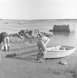 Howard Sanders and George Hampson collecting samples after oil spill.