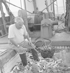 William Schroeder sorting fish on deck of the Captain Bill II.