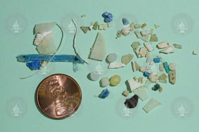 Collected plastic samples compared in size to a penny.