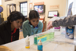 Dina Pandya's children participating in the ocean acidification exercise.