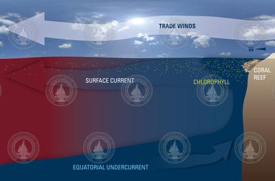 Illustration representing the Equatorial Undercurrent.