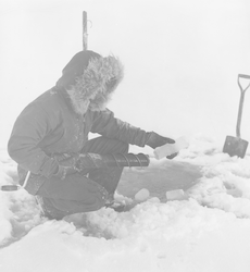 Lloyd "Tex" Hoadley removing ice core