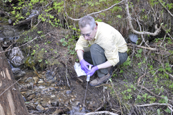 Bernhard Pecker-Ehrenbrink sampling a stream.