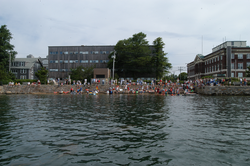 View of Great Harbor, Woods  Hole as the race finishes