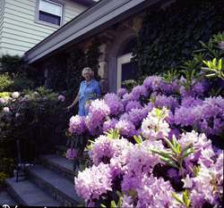 Mrs. Van Alan Clark at her home.