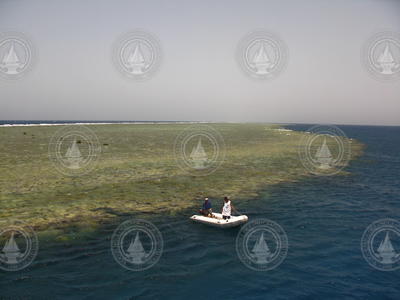 Red Sea local dive-tour operators at the edge of a coral reef.