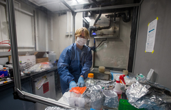 Ginny Edgcomb working in the ship lab during Moho expedition.