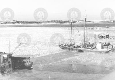 Anton Dohrn and Reliance in ice filled waters