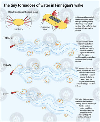 Tiny tornadoes of water in AUV Finnegan's wake.