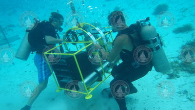 Tom DeCarlo and Pat Lohmann setting up the deployed RATS in Palau.