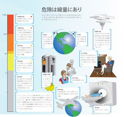 Infographic showing different levels of radiation doses (Japanese version).