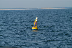 Surface buoy marking an MVCO offshore seafloor node.