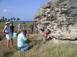 2009 Geodynamics-Barbados