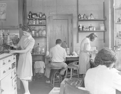 People working in a Bigelow building laboratory.