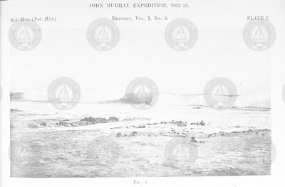 Jonathan E. Murray Expedition.