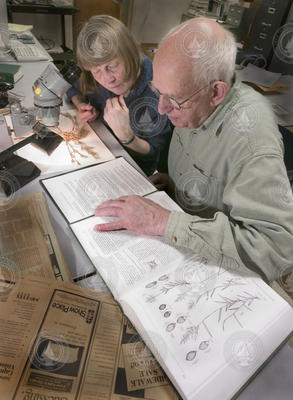 Pam Polloni and Dick Backus working in the Herbarium.