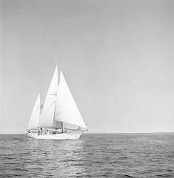 Aries under sail