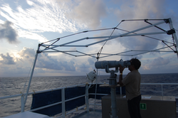 Dr. Ajith Kumar searching for marine mammals in the Bay of Bengal.