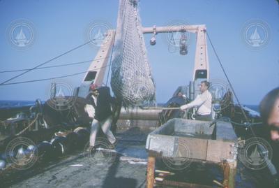 Albatross IV, recovering the net